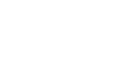 Vetta Digital